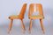 Mid-Century Czech Brown and Yellow Beech Chairs attributed to Oswald Haerdtl, 1950s, Set of 4, Image 3