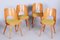 Mid-Century Czech Brown and Yellow Beech Chairs attributed to Oswald Haerdtl, 1950s, Set of 4 6