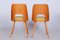 Mid-Century Czech Brown and Yellow Beech Chairs attributed to Oswald Haerdtl, 1950s, Set of 4 2