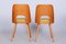 Mid-Century Czech Brown and Yellow Beech Chairs attributed to Oswald Haerdtl, 1950s, Set of 4, Image 2