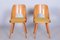Mid-Century Czech Brown and Yellow Beech Chairs attributed to Oswald Haerdtl, 1950s, Set of 4 1