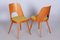 Tschechische Mid-Century Stühle aus brauner & gelber Buche, Oswald Haerdtl zugeschrieben, 1950er, 4er Set 4