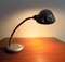 Workshop Table Lamp with Swan Neck, 1950s, Image 8