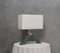 Indian Green Marble and Murano Glass Table Lamp, 2000s, Image 1