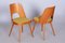 Chaises Mid-Century en Hêtre Marron et Jaune par Oswald Haerdtl, République Tchèque, 1950s, Set de 4 9