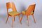 Tschechische Mid-Century Stühle aus brauner & gelber Buche von Oswald Haerdtl, 1950er, 4er Set 9