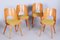 Tschechische Mid-Century Stühle aus brauner & gelber Buche von Oswald Haerdtl, 1950er, 4er Set 4
