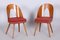 Mid-Century Czech Chairs by Antonin Suman, 1950s, Set of 2 2