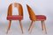 Mid-Century Czech Chairs by Antonin Suman, 1950s, Set of 2 7