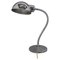 Lampe de Bureau avec Abat-Jour Flexible, 1940s 1