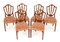 Hepplewhite Dining Chairs in Marquetry Inlay, 1890s, Set of 6 1