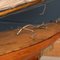 Yacht da regata in legno Gaff Rigged, Regno Unito, anni '10, Immagine 29