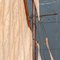 Yacht da regata in legno Gaff Rigged, Regno Unito, anni '10, Immagine 17