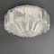 Mid-Century Flower-Shaped Glass Flush Mount or Sconce from Limburg, Germany, 1970s, Image 1