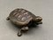 19th Century Bronze Turtle 3