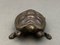 19th Century Bronze Turtle 4