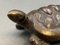 19th Century Bronze Turtle 7