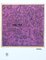 Keith Haring, Purple, Late 20th Century, Print, Image 1