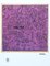 Keith Haring, Violet, Fin du 20e siècle, Impression 1