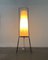 Mid-Century Minimalist German Floor Lamp from Hesse Leuchten, 1960s 13