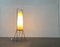 Mid-Century Minimalist German Floor Lamp from Hesse Leuchten, 1960s 21