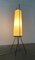Lámpara de pie alemana minimalista Mid-Century de Hesse Leuchten, años 60, Imagen 7