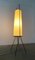 Mid-Century Minimalist German Floor Lamp from Hesse Leuchten, 1960s 7