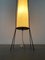 Mid-Century Minimalist German Floor Lamp from Hesse Leuchten, 1960s 18