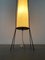 Mid-Century Minimalist German Floor Lamp from Hesse Leuchten, 1960s, Image 18
