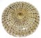 Austrian Crystal Flowers Ceiling Lamp by Emil Stejnar, 1960s 9