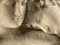 Tapiz de pared Adonis & Venus de Enzo Mari para Flou, 1998, Imagen 4