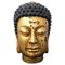 Lackierter Ming Buddha Kopf, 1900er 1
