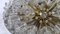Plafonnier Sputnik Crystal Flowers, Autriche attribué à Emil Stejnar pour Rupert Nikoll, 1950s 14