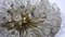 Lámpara de techo austriaca Sputnik Crystal Flowers atribuida a Emil Stejnar para Rupert Nikoll, años 50, Imagen 3