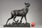 Bronze Sculpture Big Stag After Its Moult from C. Paillet, 1910s 5