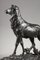 Bronze Sculpture Big Stag After Its Moult from C. Paillet, 1910s 15