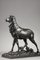 Bronze Sculpture Big Stag After Its Moult from C. Paillet, 1910s, Image 14