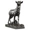 Bronze Sculpture Big Stag After Its Moult from C. Paillet, 1910s 1