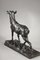 Bronze Sculpture Big Stag After Its Moult from C. Paillet, 1910s 4