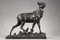 Bronzeskulptur Großer Hirsch nach der Häutung von C. Paillet, 1910er 17