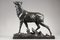 Bronze Sculpture Big Stag After Its Moult from C. Paillet, 1910s 7
