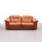 DS101 2-Seat Sofa in Cognac Leather from De Sede, 1970, Image 2