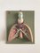 Anatomical 3-Dimensional Picture, Germany, 1950s, Image 1