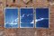 Tipo de cian, tríptico de tonos azules de cielo nublado sereno, 2021, cianotipo, Imagen 8