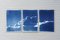 Tipo de cian, tríptico de tonos azules de cielo nublado sereno, 2021, cianotipo, Imagen 7