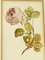 Maria Geertruida Barbiers Snabillé, Flowers, Watercolor, 1800s, Framed 8