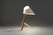 Early Billy Tl Table Lamp by J.T. Kalmar, Austria, 1950 7