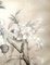 Dibujo botánico de cerezo, École Française, Principios del siglo XX, Papel, Imagen 8