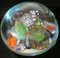 Floral Paperweight in Murano Glass, 1950s, Image 3