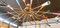 Lampada Sputnik con luci Multoloor di Stilnovo, Immagine 14